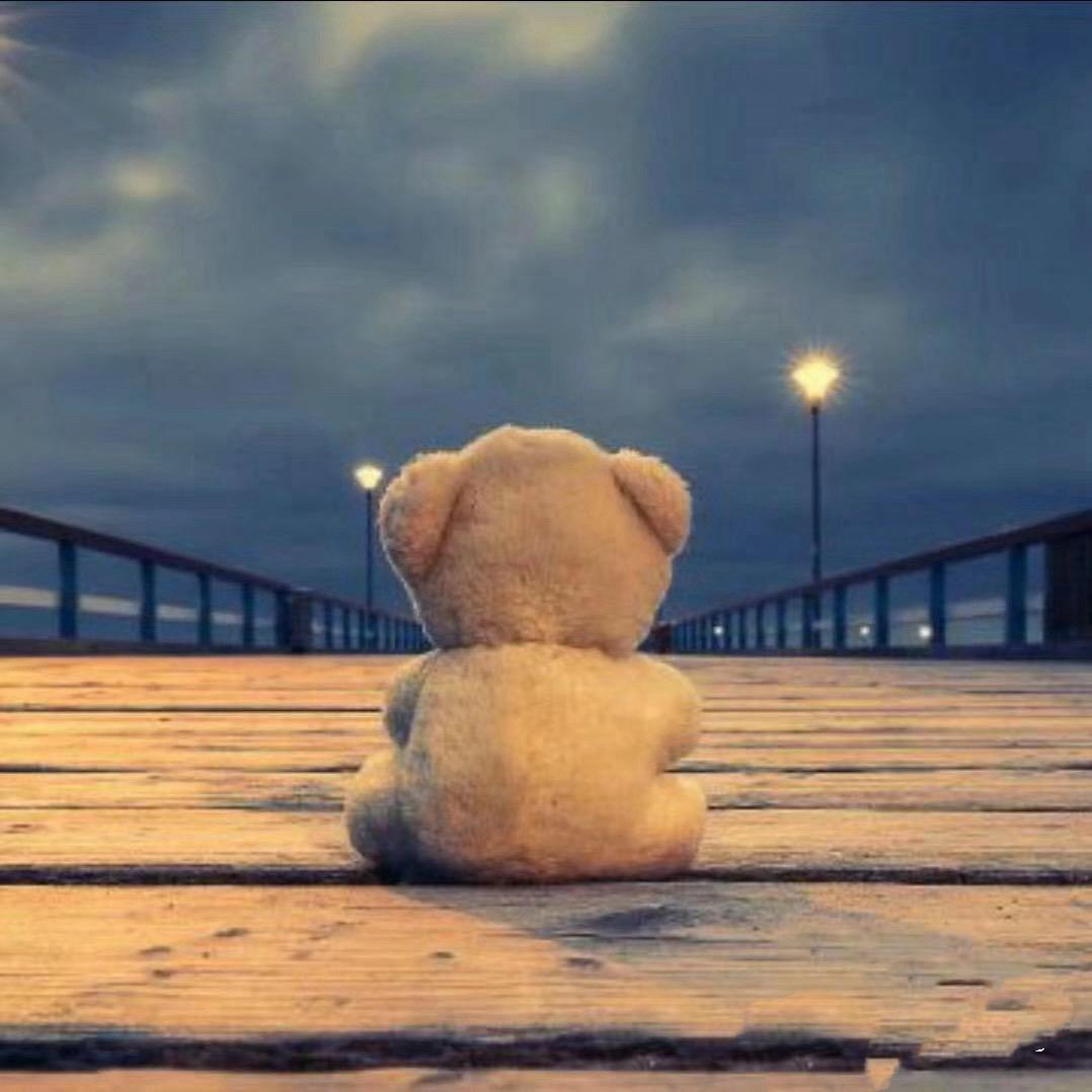 胖胖熊🐻