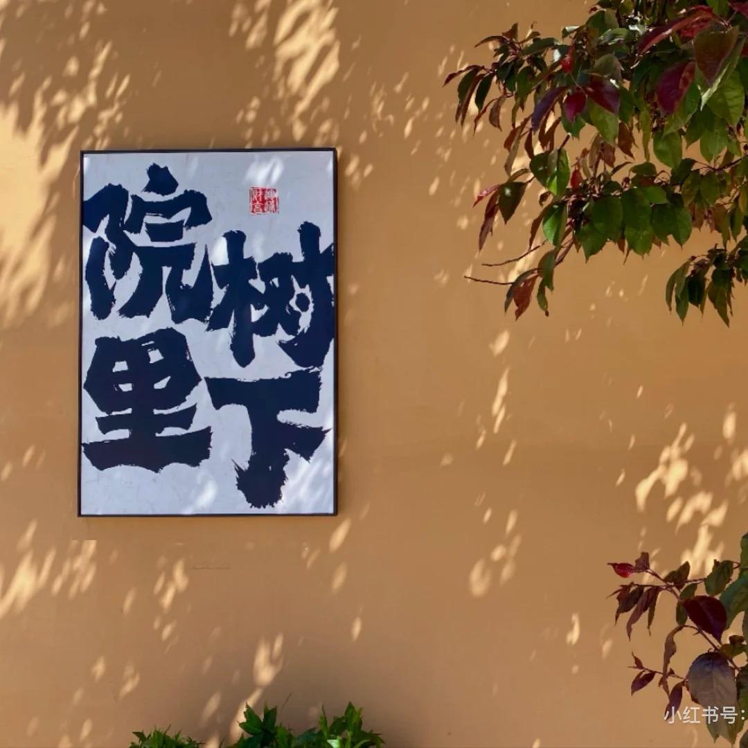 院里树下一