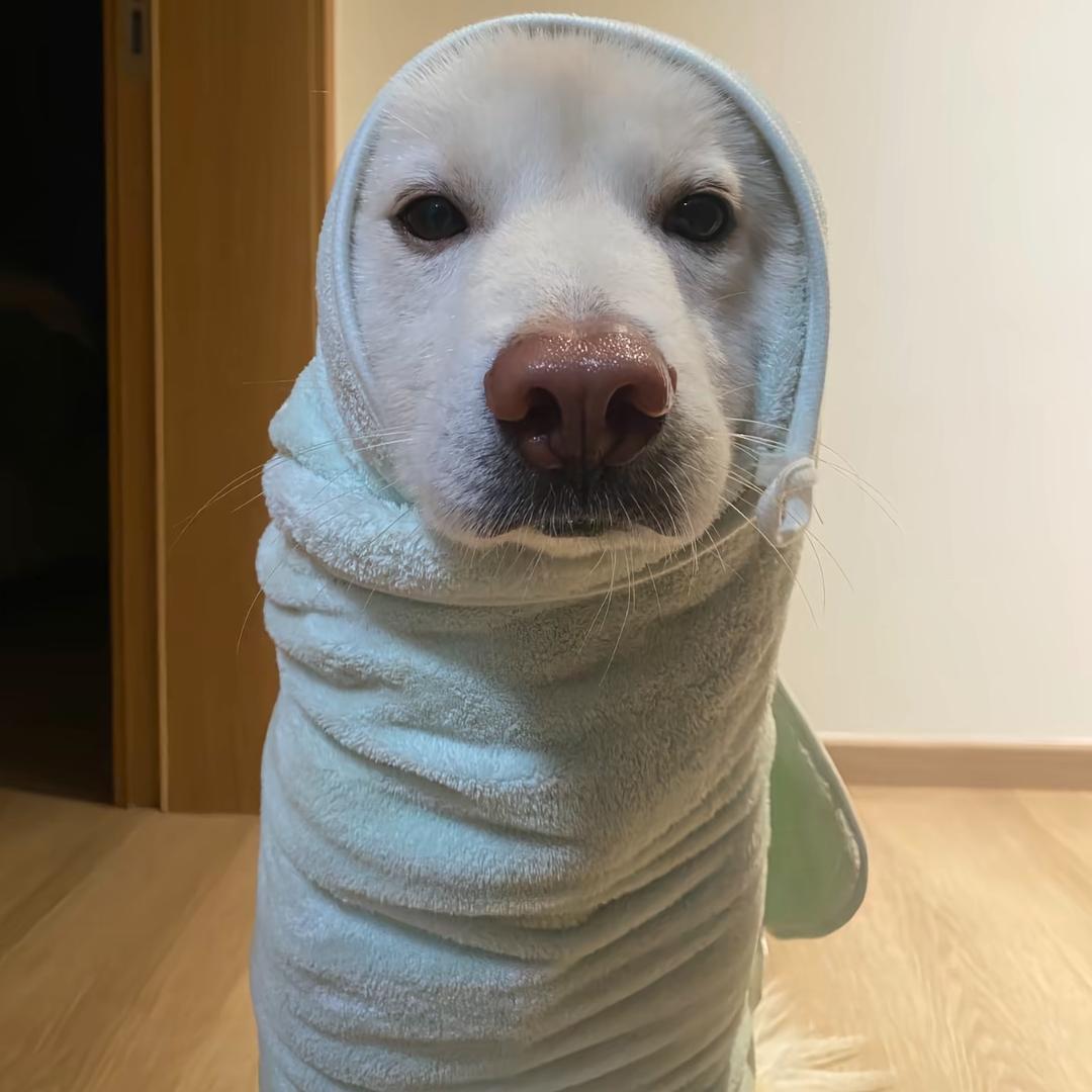 小雨转晴