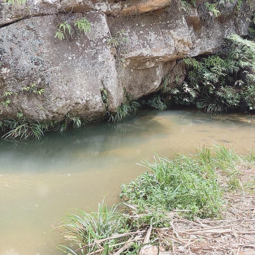 小吴同学的鱼乐圈