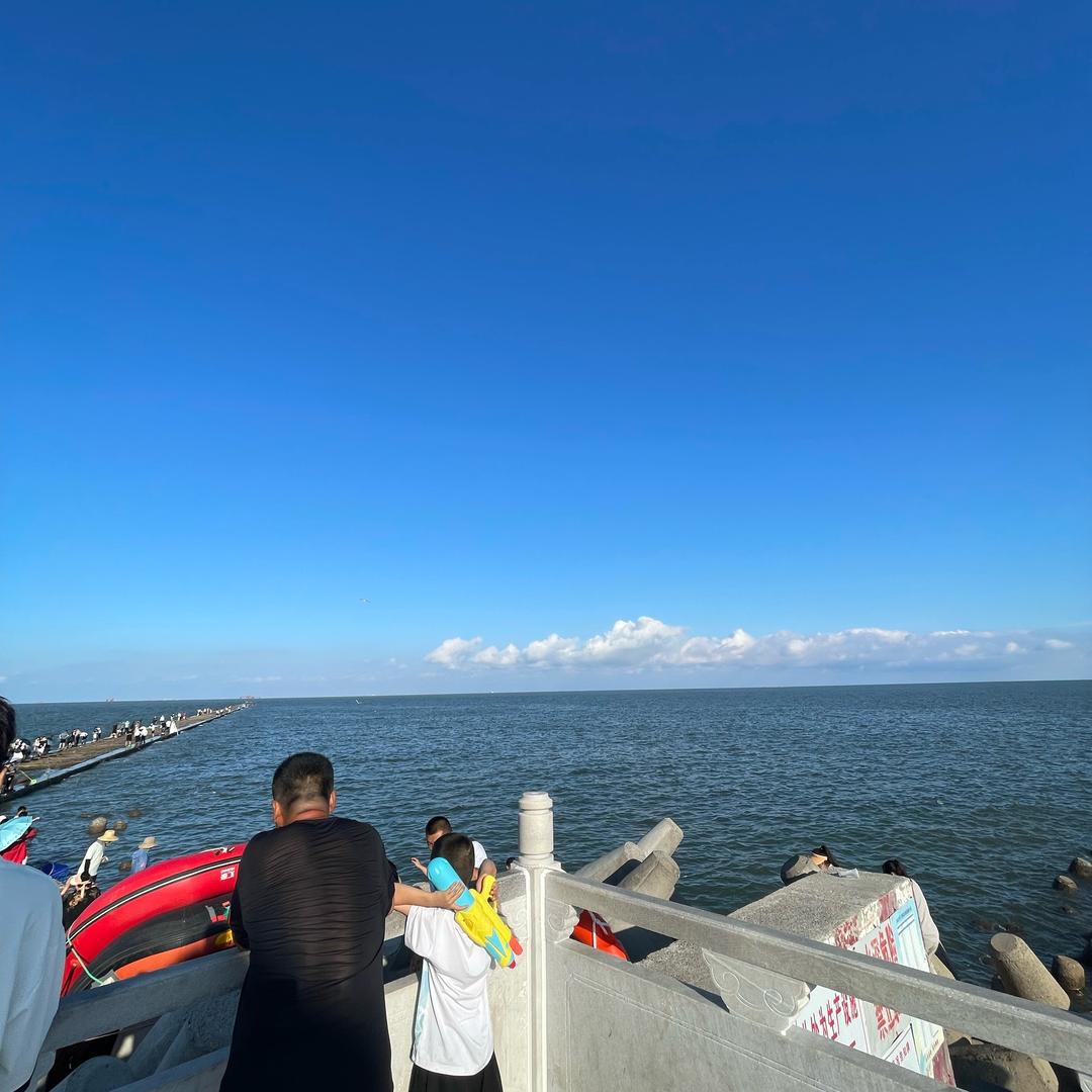 杨杨去哪了🐶🐶🐶