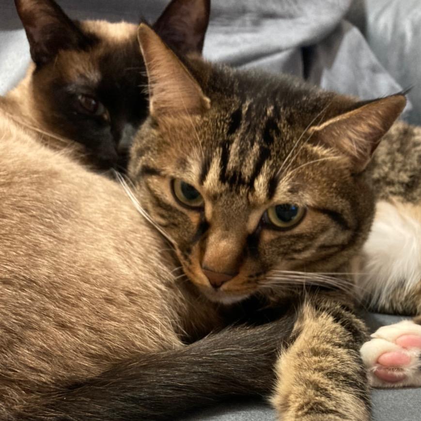 玩音乐如此简单