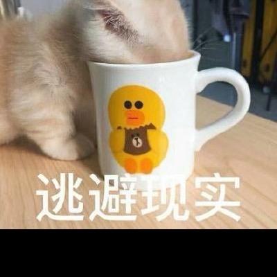 小黄日记📓
