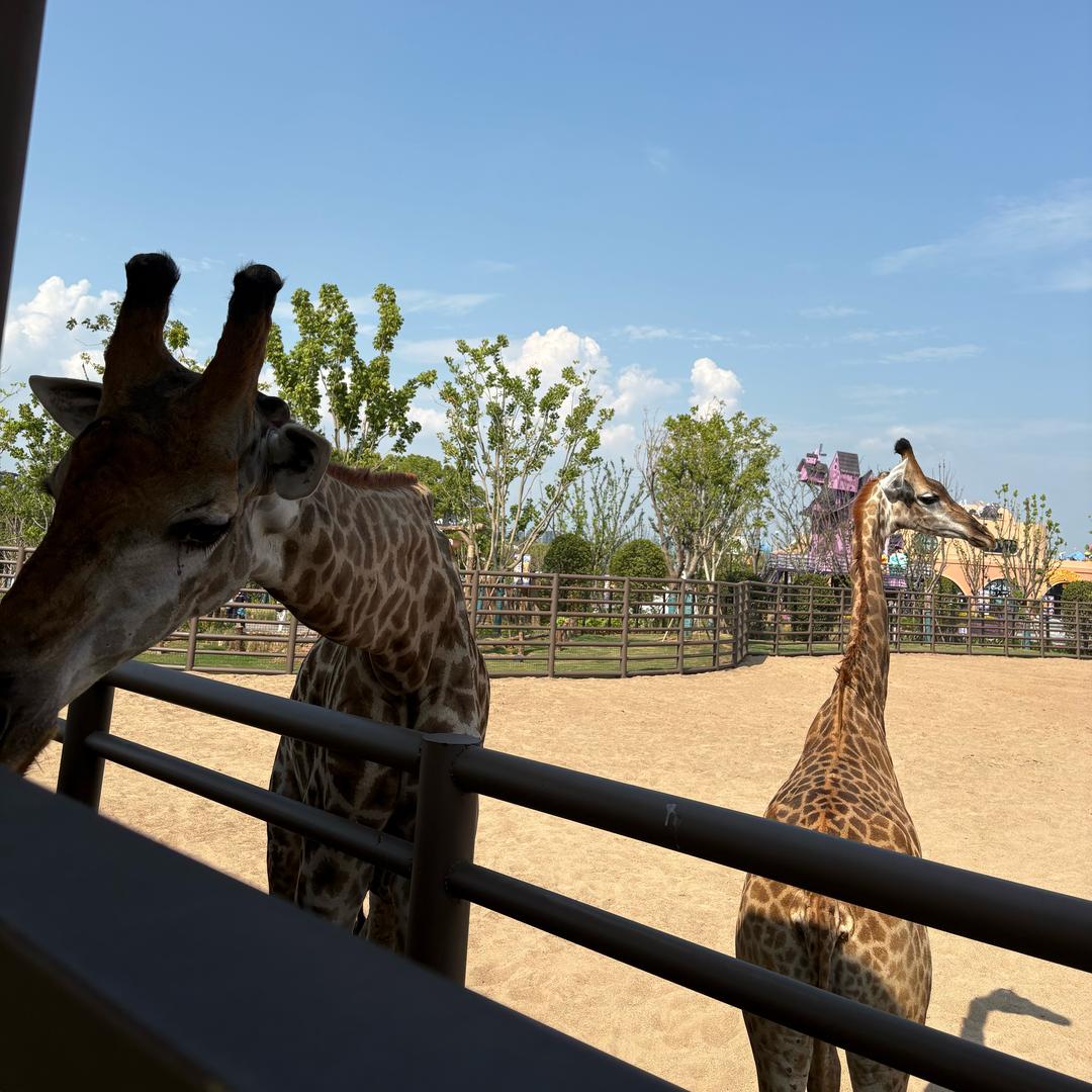 户外防护优品店