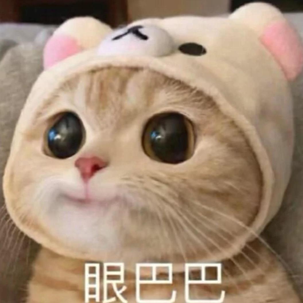 喵王