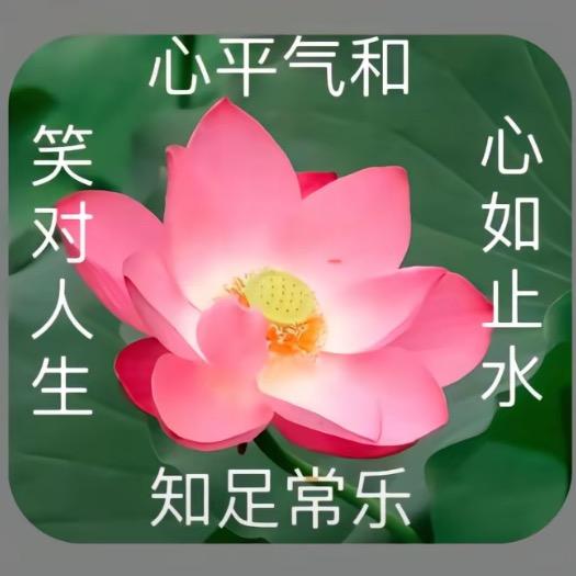 知足常乐