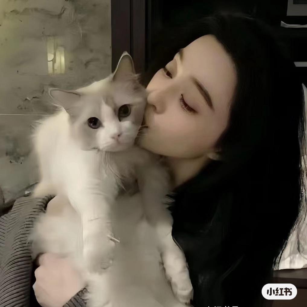 漫漫