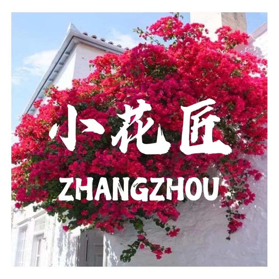 小花匠三角梅