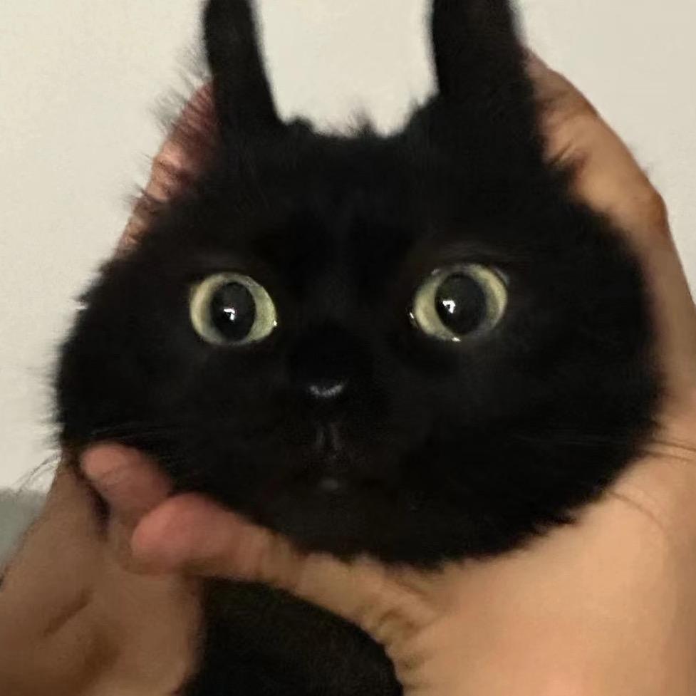 小鹿甄选官方号