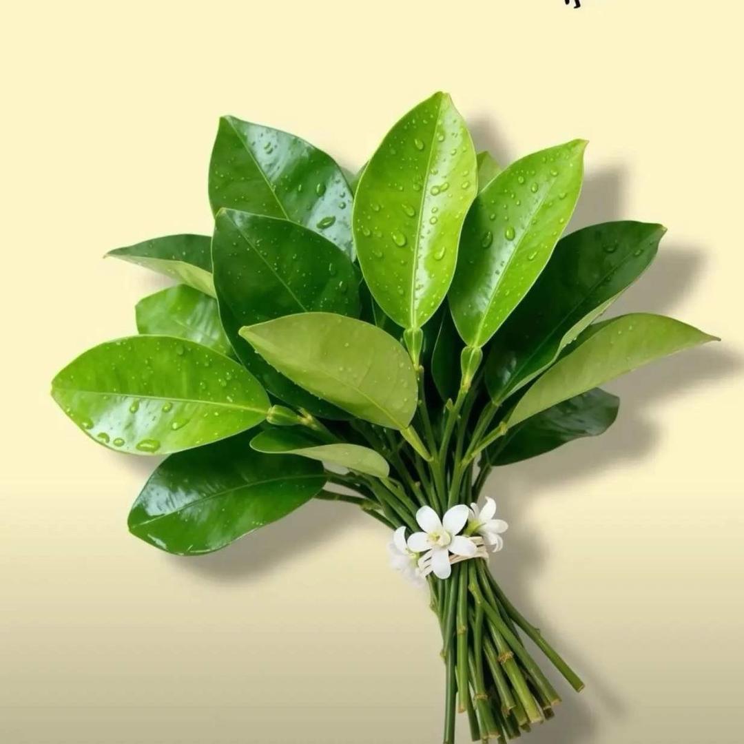 心想事成￥小陈