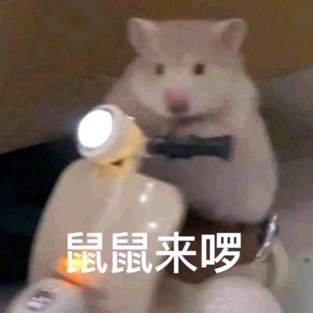 聪明