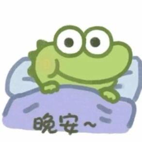 天竺来的小熊