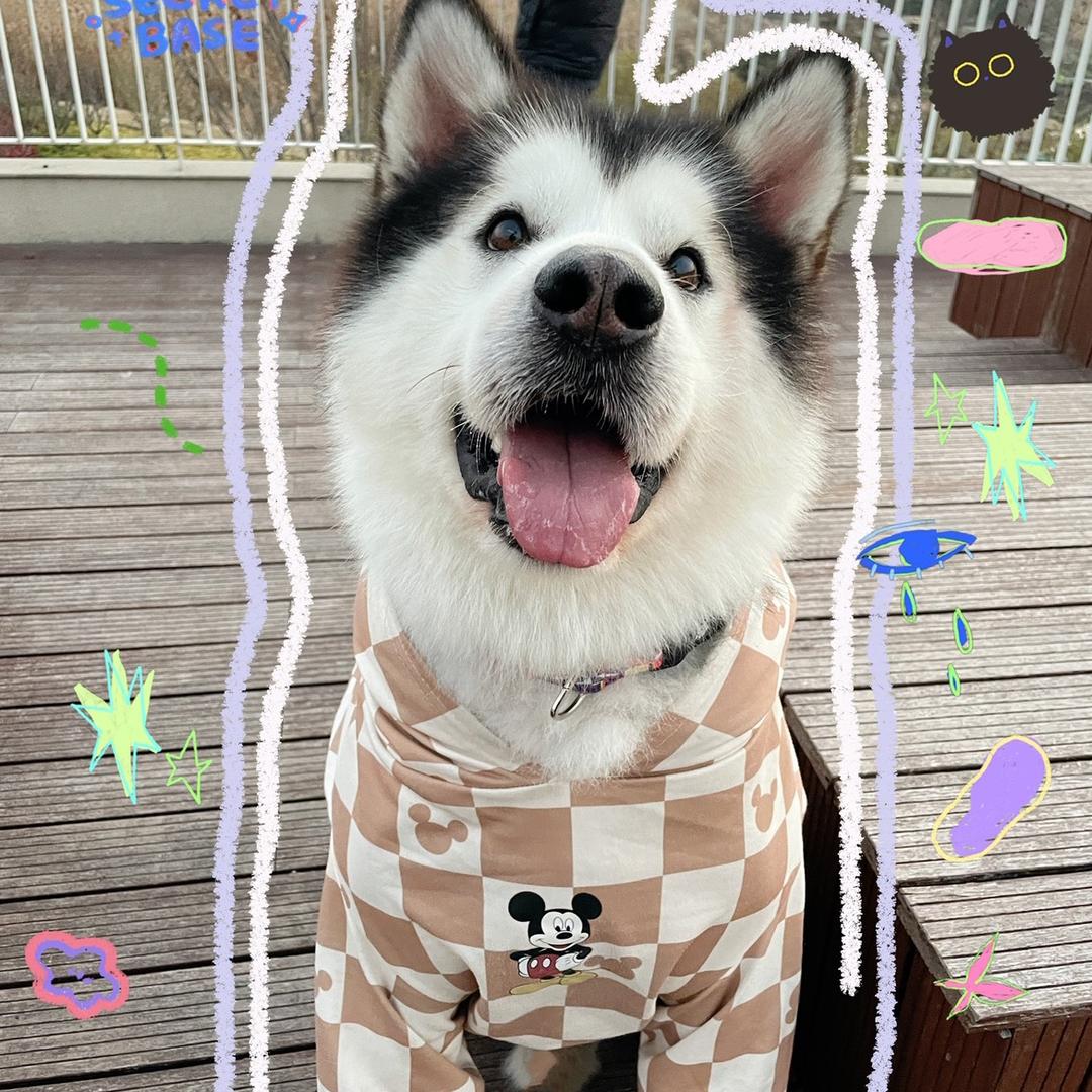 闹闹不闹