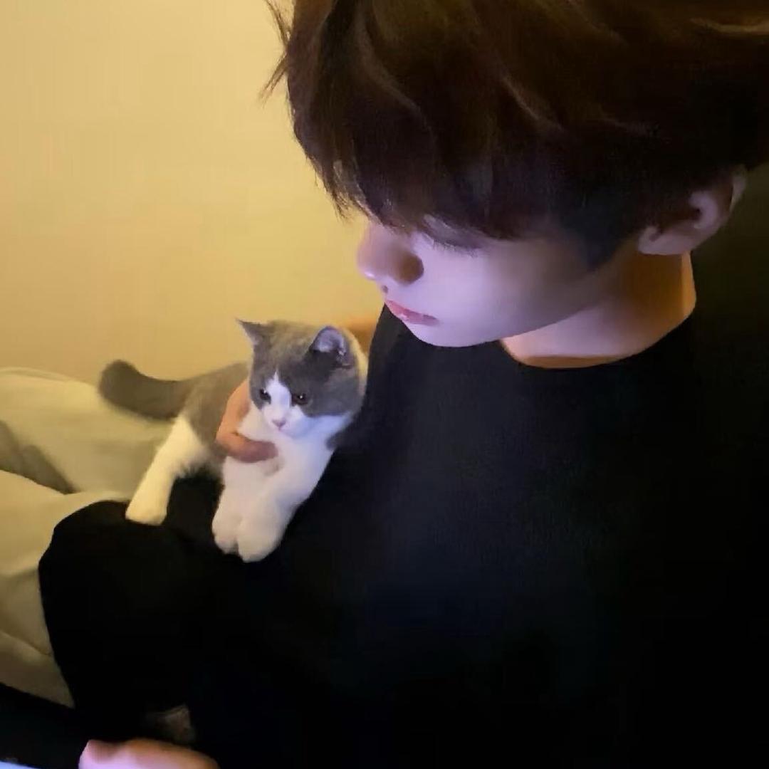 小飞鼠