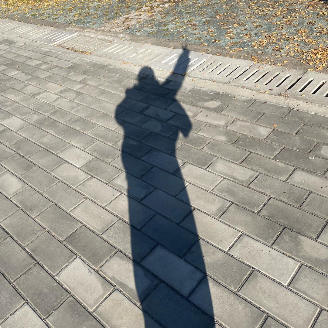 喜乐平安🌈🐯