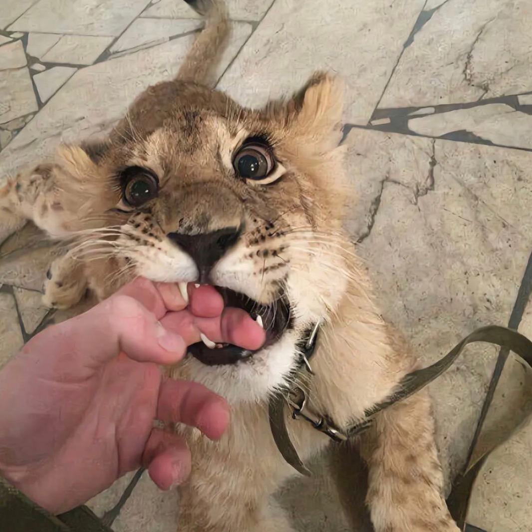 小赵呢！