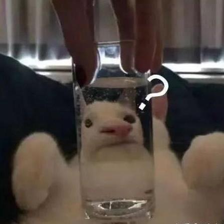 小纸条条条