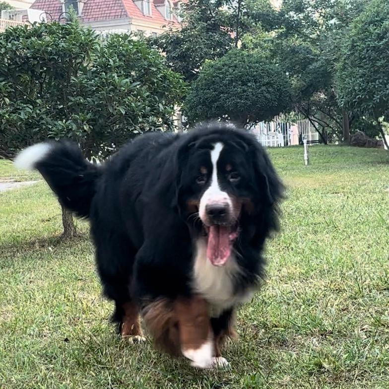 奥恩和端午