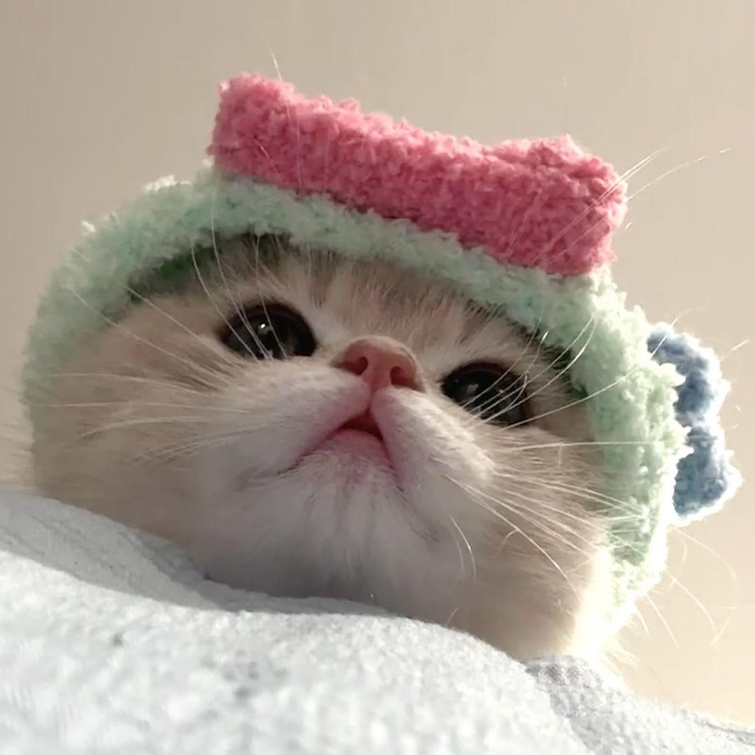 丢丢