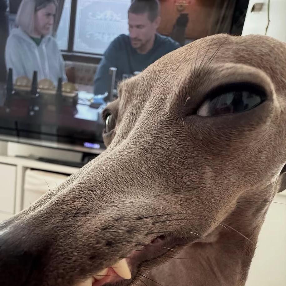 小杰不会困在雨