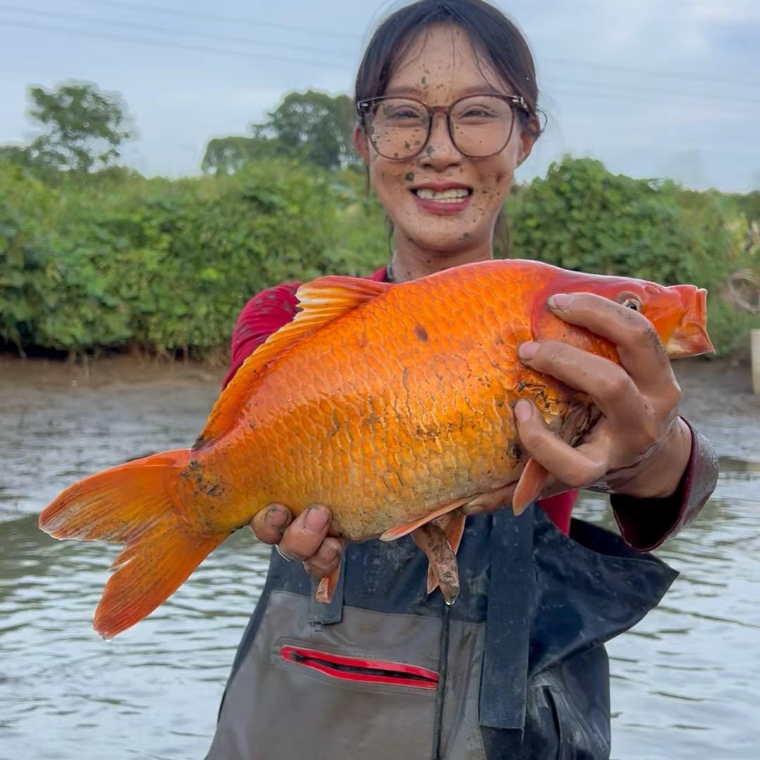 小姨子（崔小明）