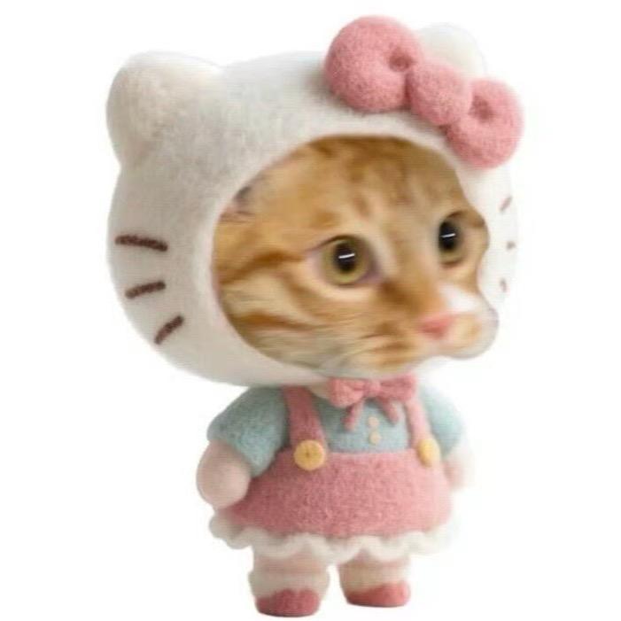 在下猫猫雨