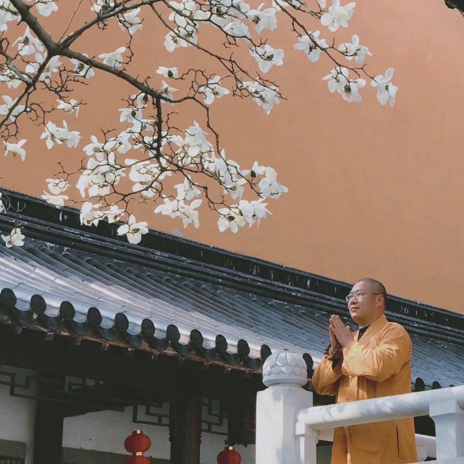 奔跑中的五花肉