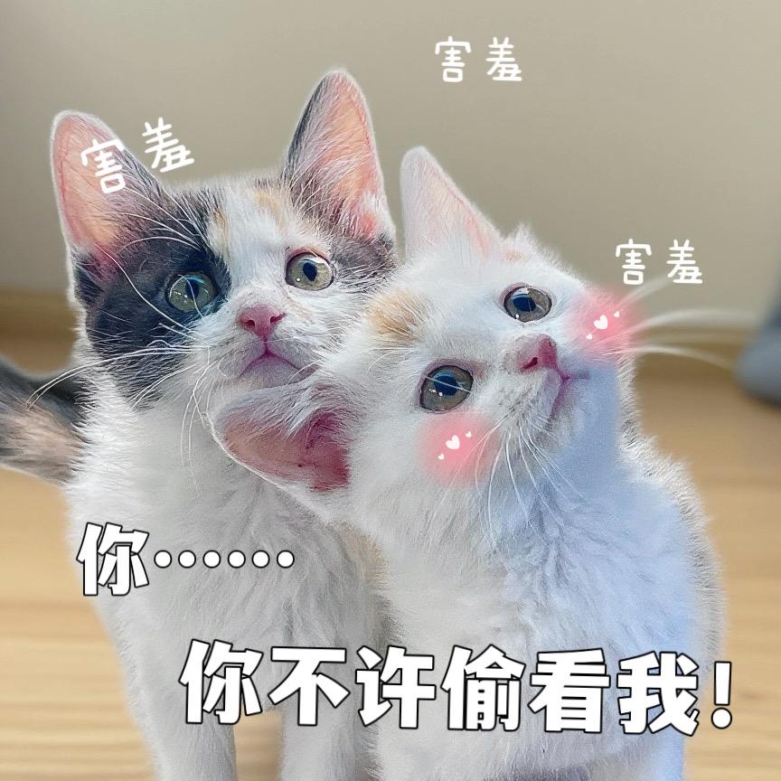 大米与花生