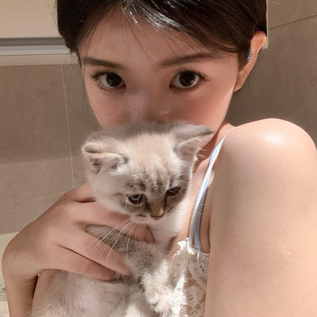 小鱼冻干🐟