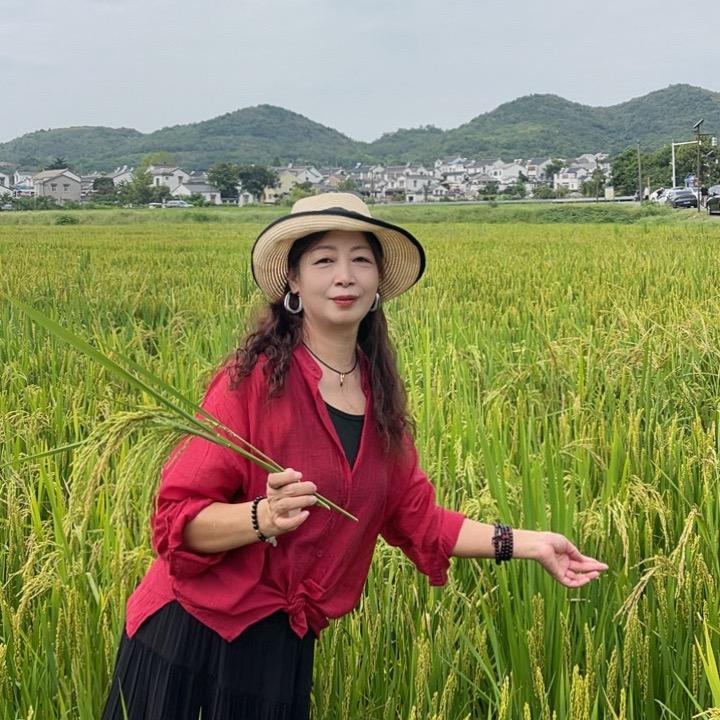 叶片上的露珠
