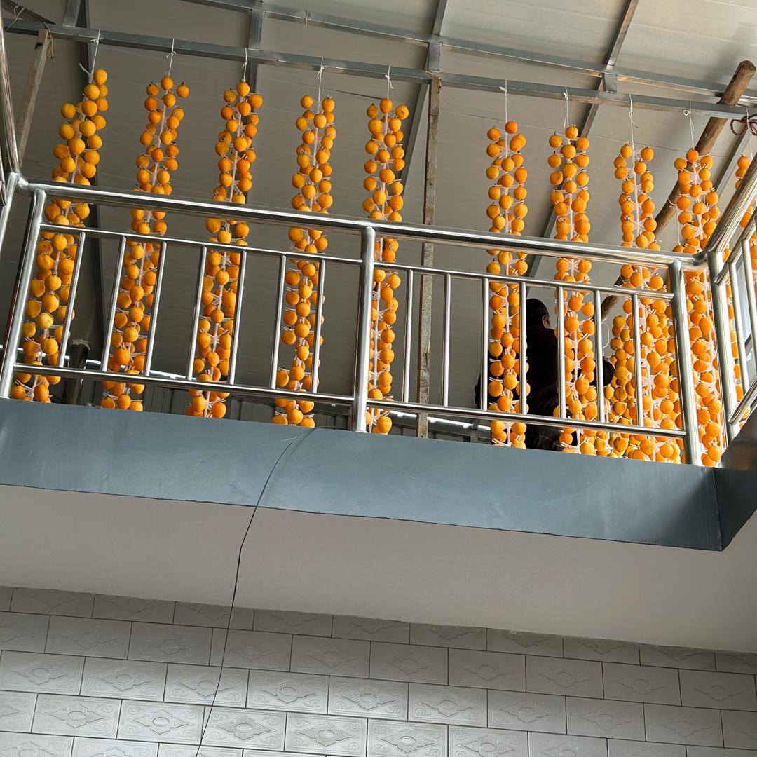 用户917839028194