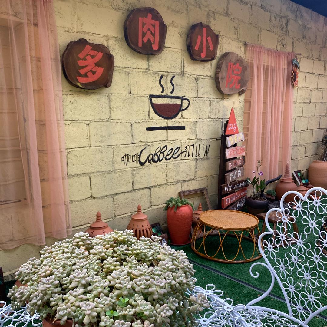 景洪嘎洒多肉小院