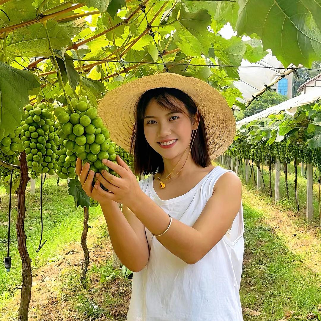 雪嬢嬢乡村记🌾