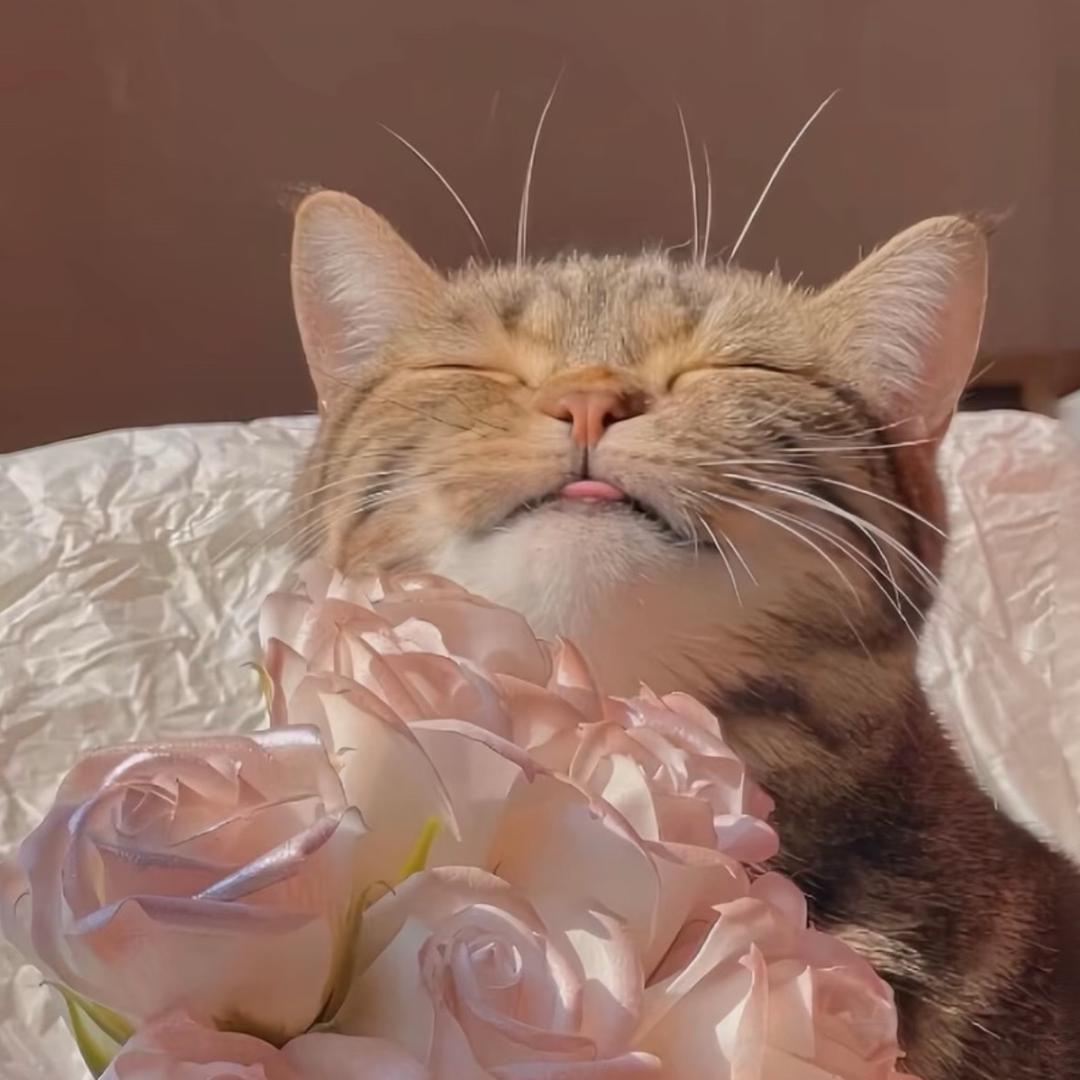 ～