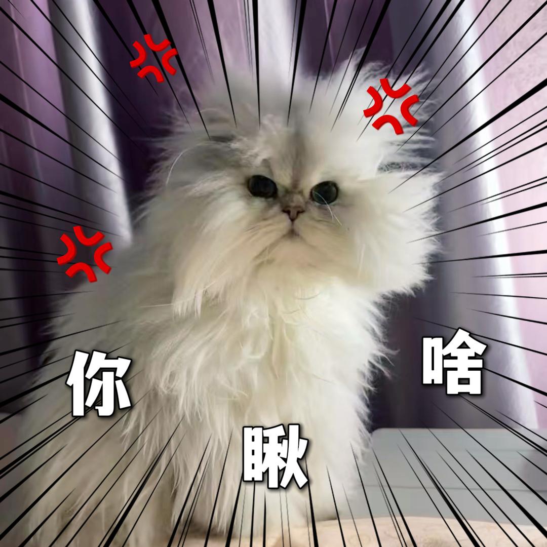 🐶哥丶（躺0版）