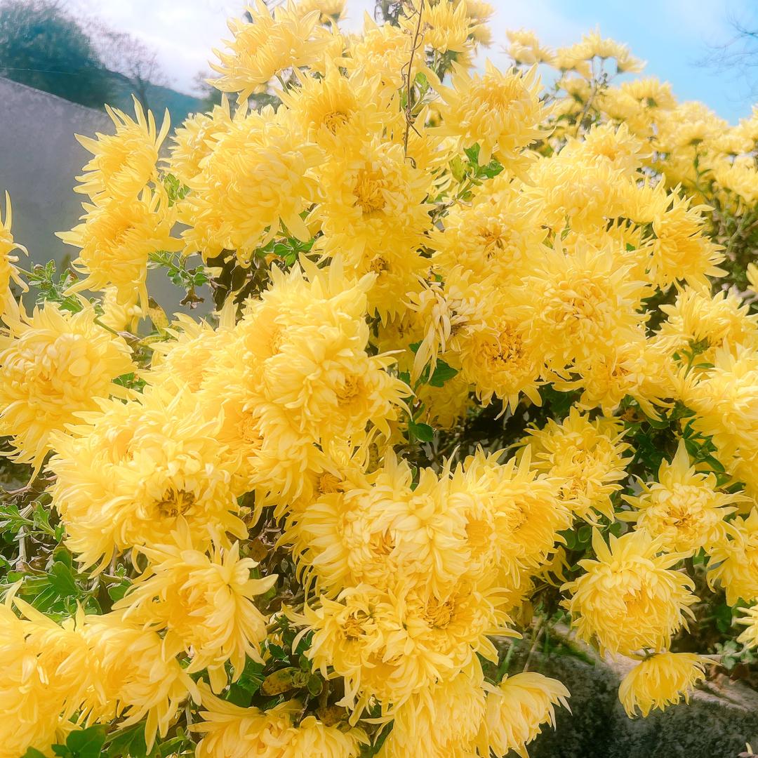 怠惰