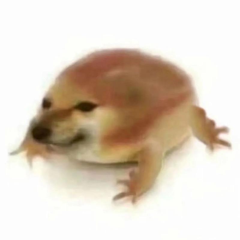 qpp