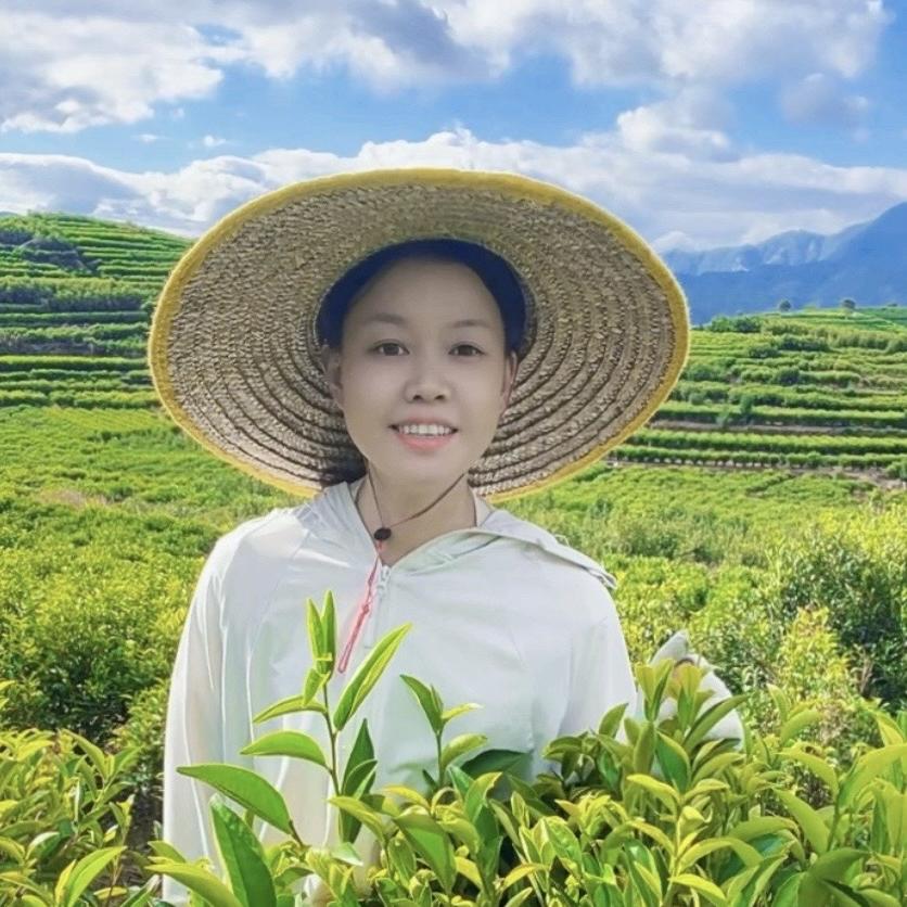 潮州凤凰镇一盏香茶庄（单丛茶）2号店