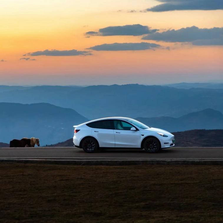 老六玩电车的头像