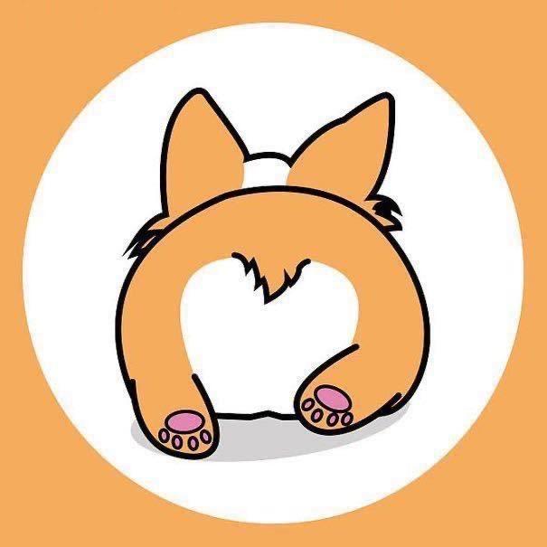 这只🐶|是可乐呀🐾