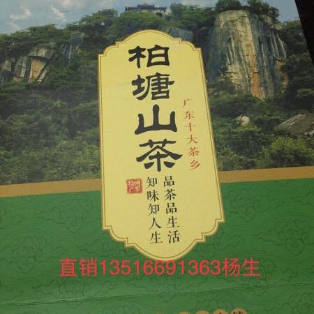 平安是金(柏塘山茶）