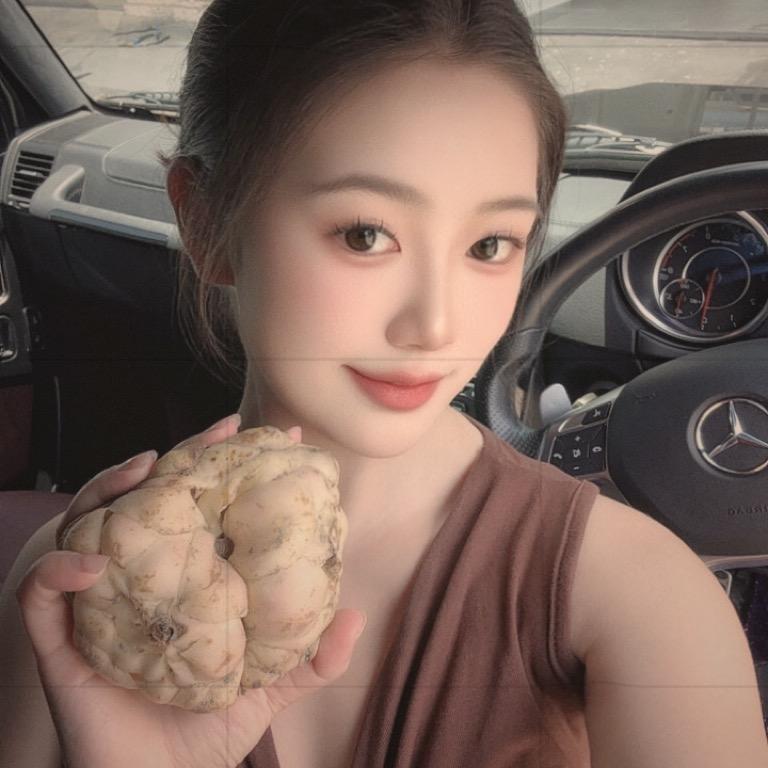 云南中药材种植小田