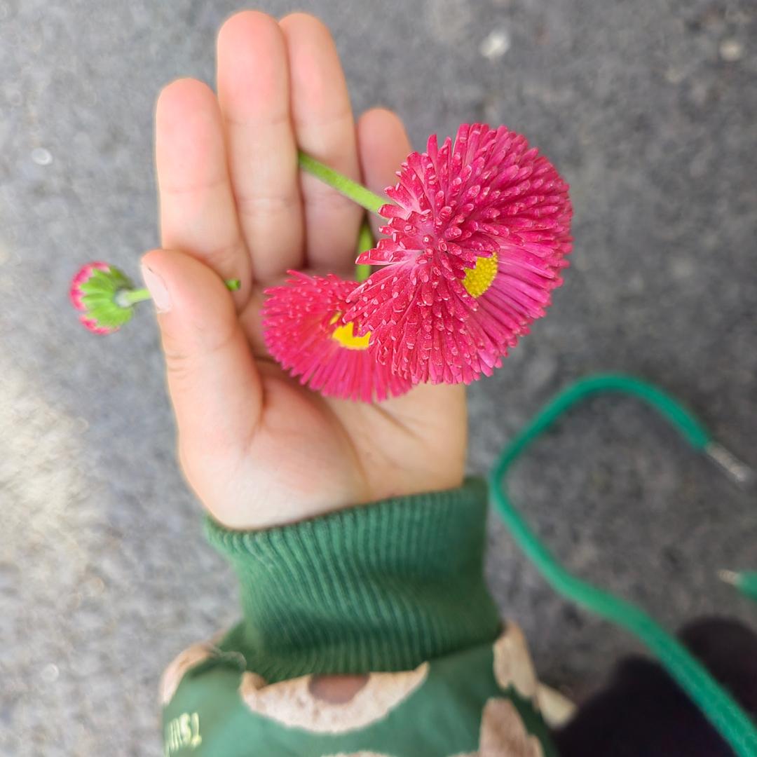 小张同学