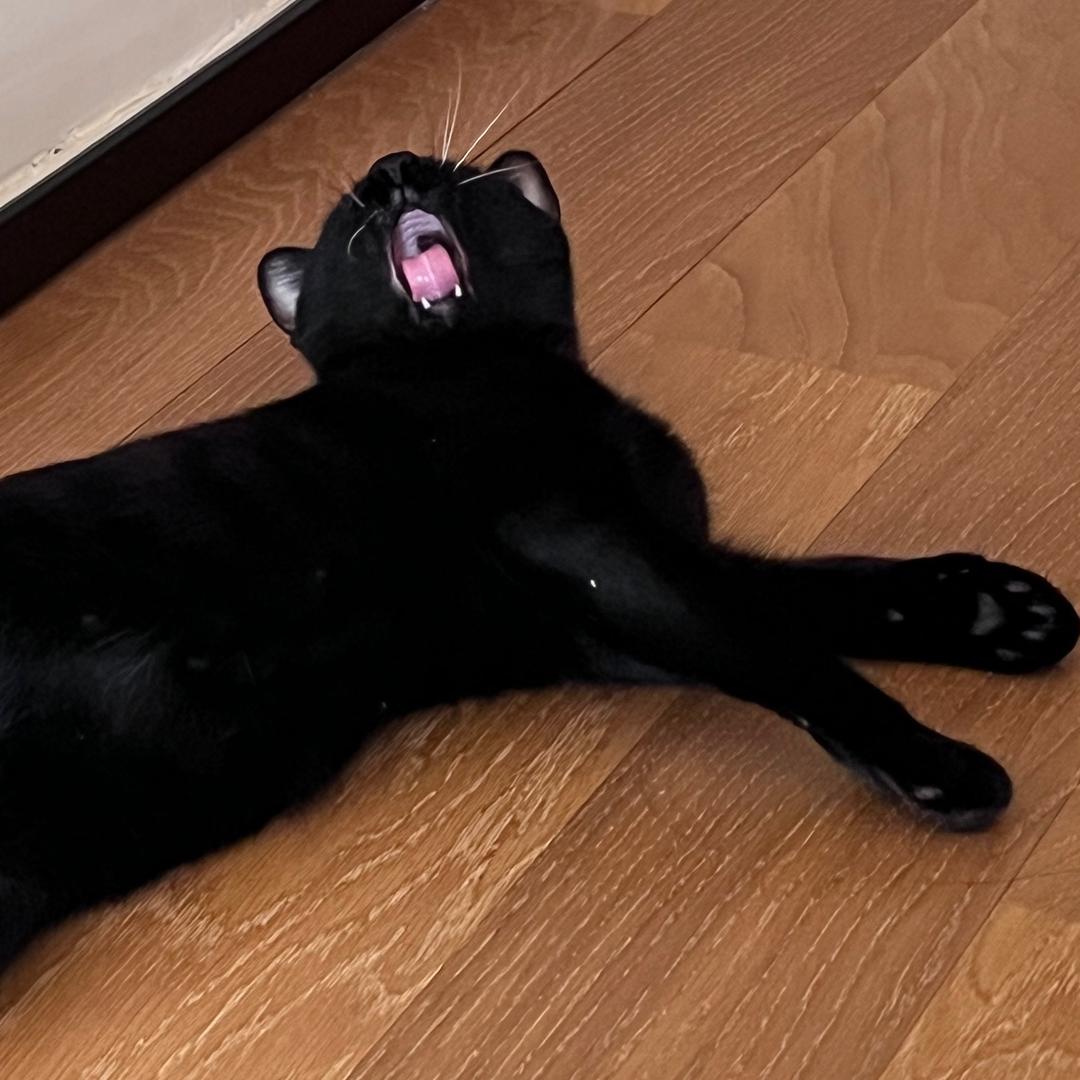 O了
