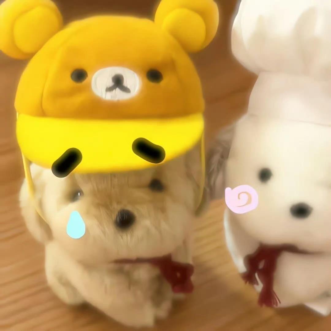 我不是ttt