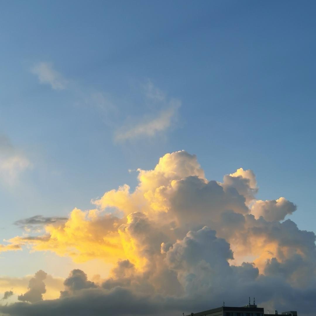 馒头.