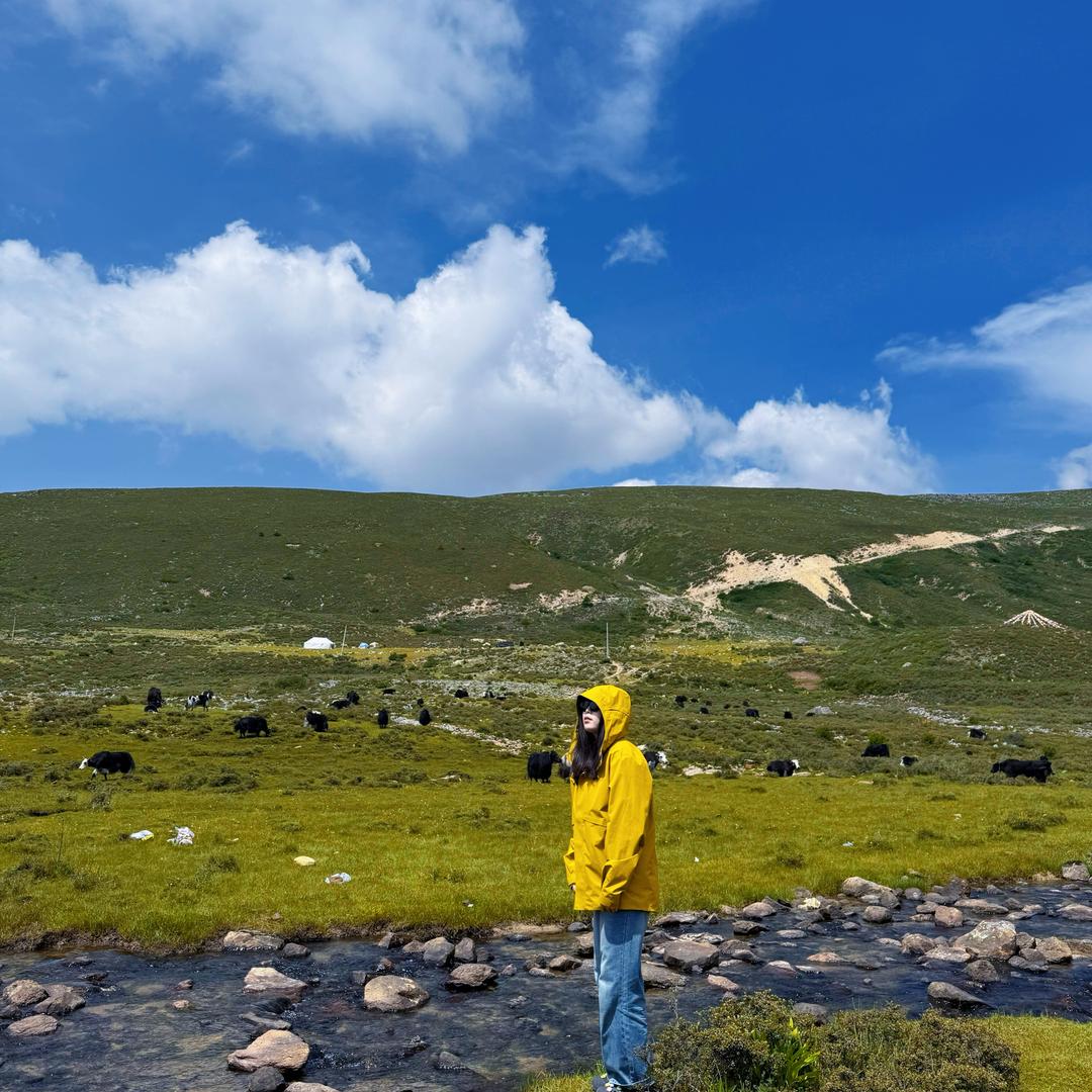 扁桃体永不发言