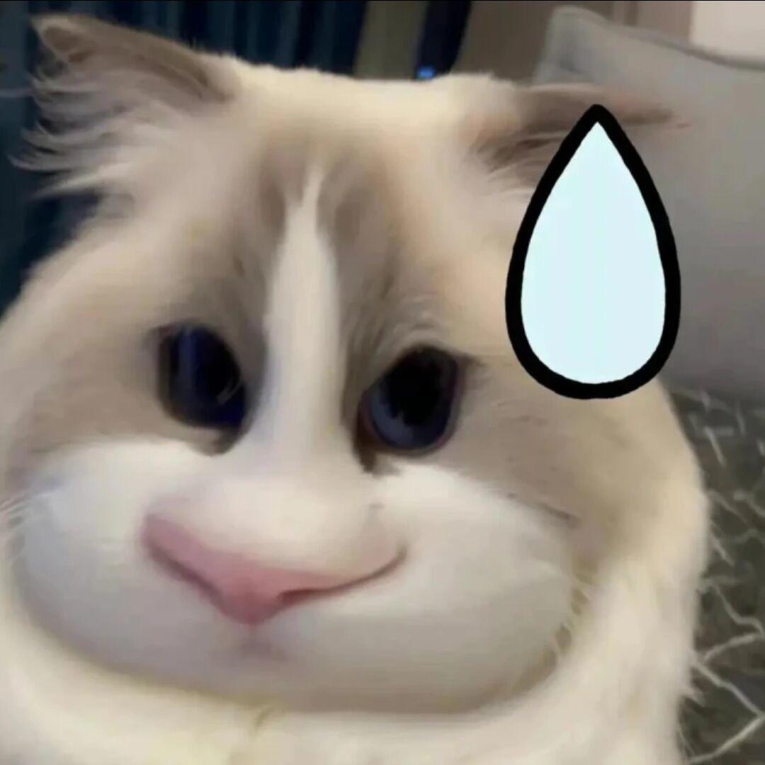桉