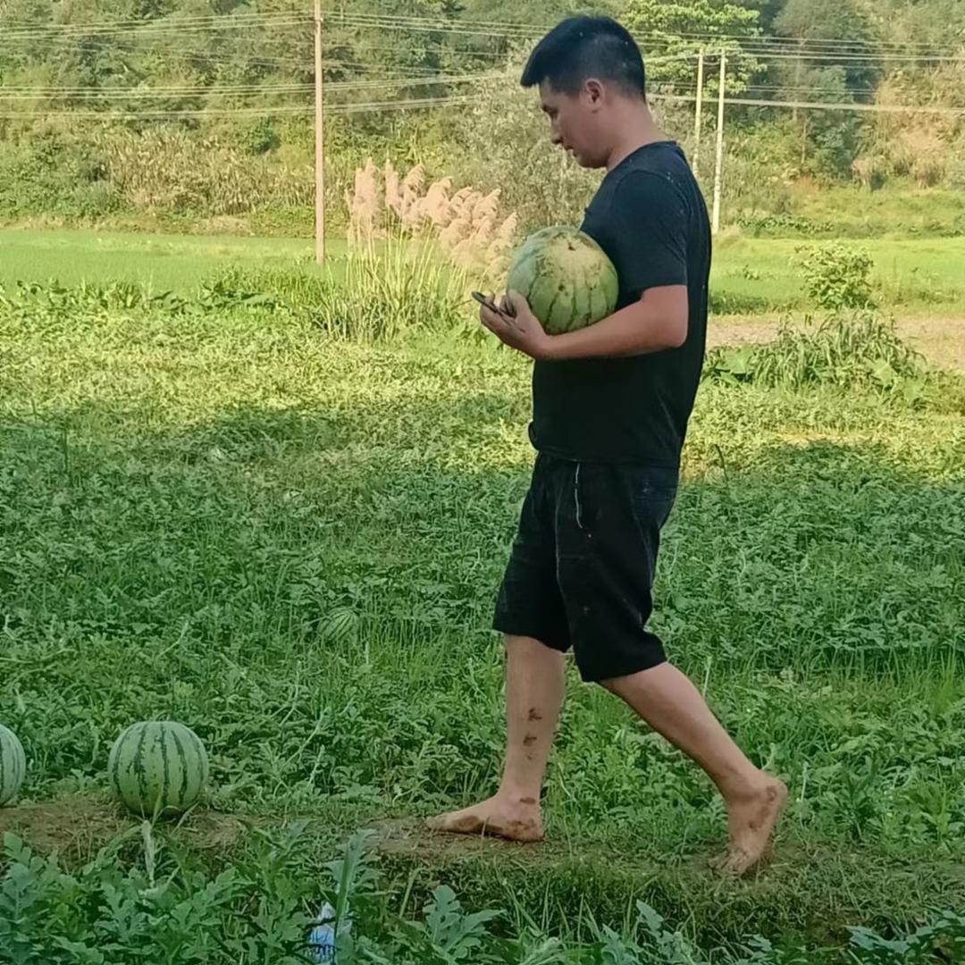 老林混饭吃