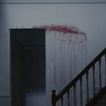鱼鱼国王